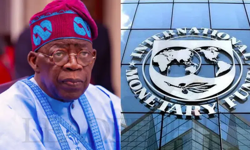 Poverty, food insecurity remain high despite Tinubu's economic reforms - IMF
