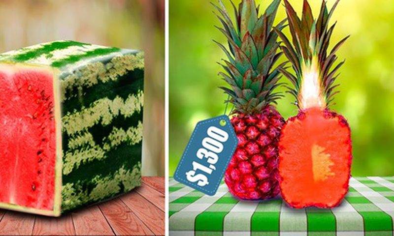 Most expensive fruits in the world [X]