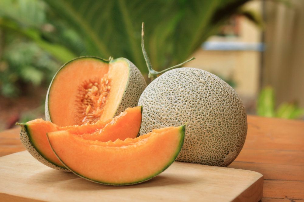Yubari King melon [MermetiseSingapore]