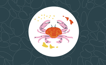 7 Zodiac-Inspired Gifts for Cancers That Speak to Their Soul