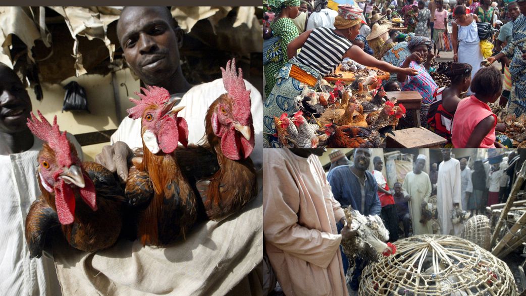 FULL LIST: Nigerian states with highest food price hikes
