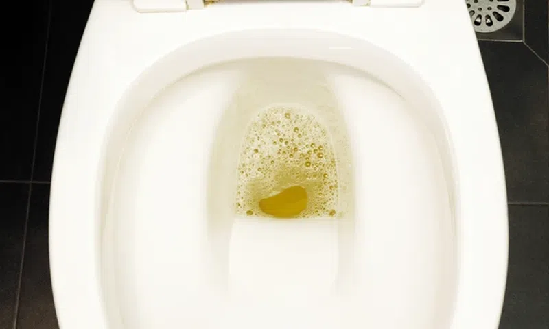 Why is my urine foamy? [Shutterstock]