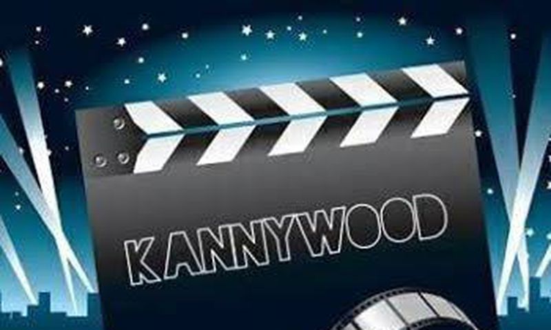 Kano censorship board halts 22 hausa film series over regulatory breach