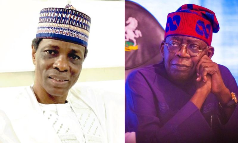 Northerners have nothing against Tinubu - Ex-President's cousin supports 2nd term