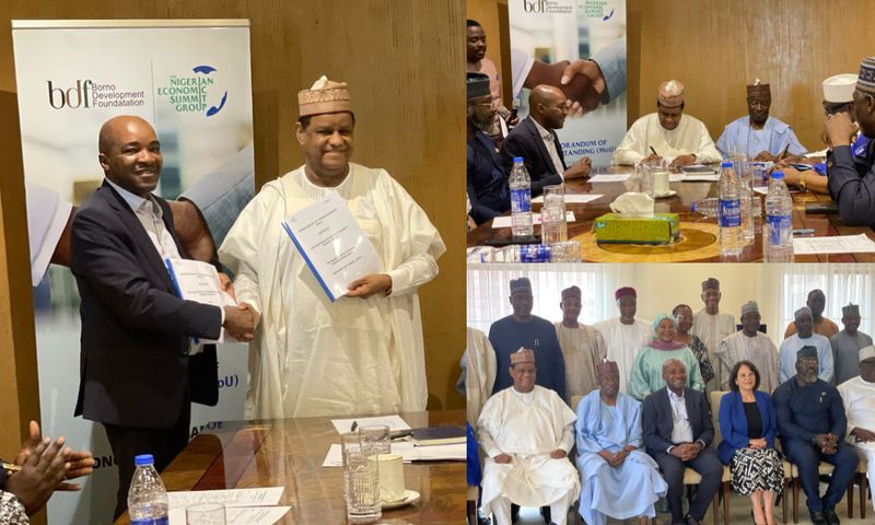 The Nigerian Economic Summit Group (NESG) and key partners have launched the Borno Development Foundation (BDF). [Pulse Nigeria/Segun Adeyemi]