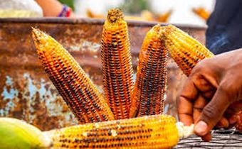 5 health benefits of eating corn [Food, Recipes and More]