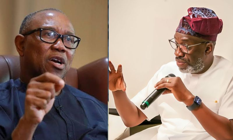 Stop de-marketing Nigeria - Segun Sowunmi blasts Obi for quoting poverty figure