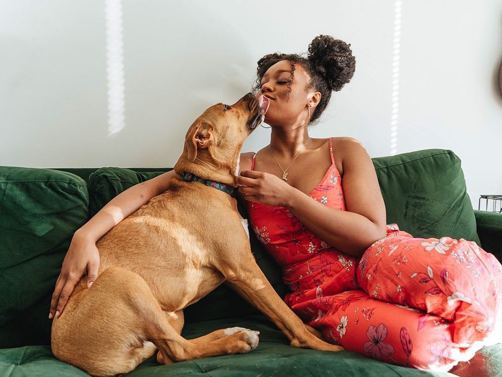 Adopt a pet [Kinship]