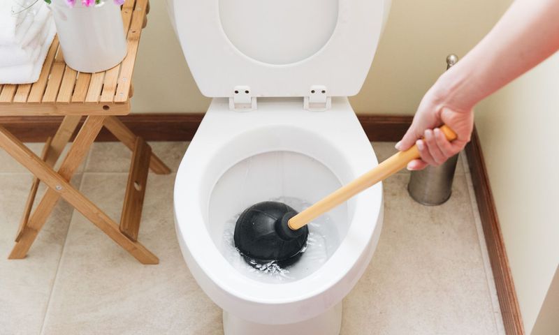 How to unclog your toilet easily [thespruce]