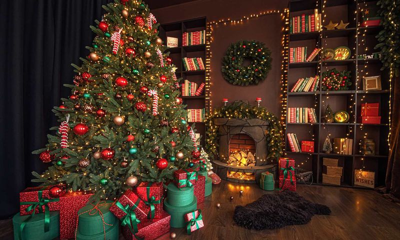 Surprising facts about Christmas that will surprise you [ChristmasLightSource]