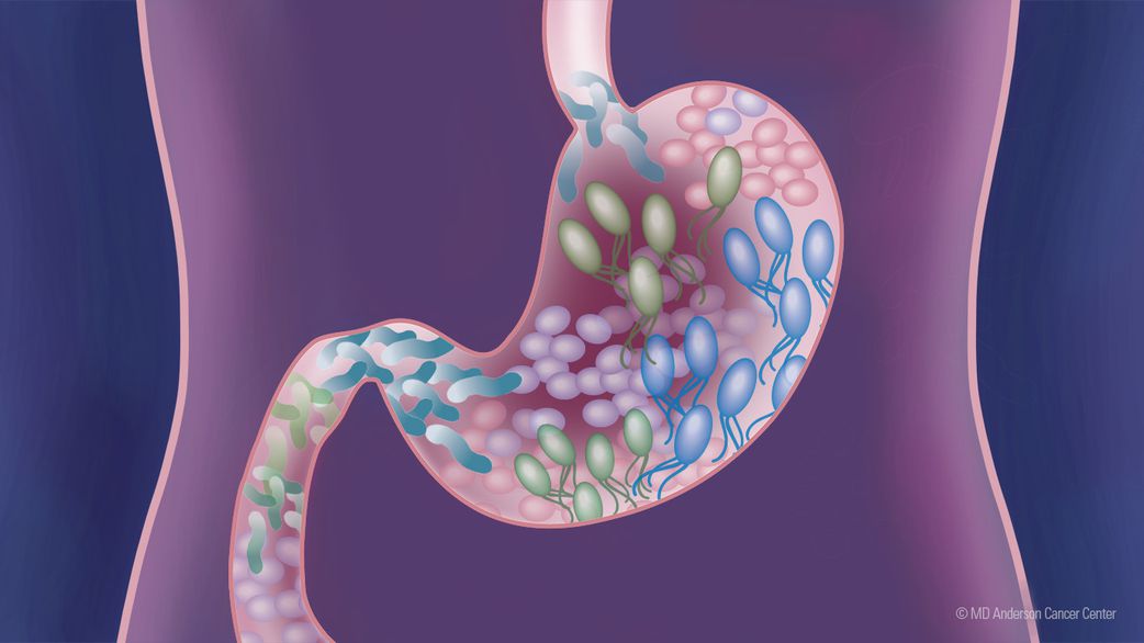 Inside your gut are trillions of bacteria [MDAndersonCancer]