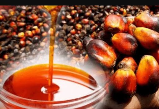 Natural remedies we grew up with - Do they actually work?
