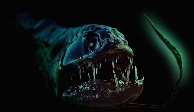 Deep-sea dragonfish [sites.psu.edu]