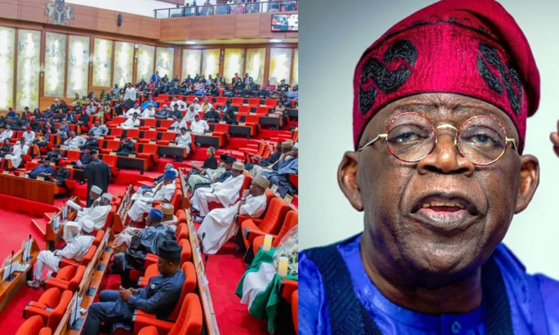 Tinubu asks Senate to confirm appointment of CCB Governing Board members