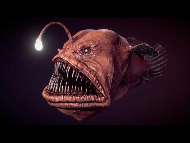 The Anglerfish [YouTube]
