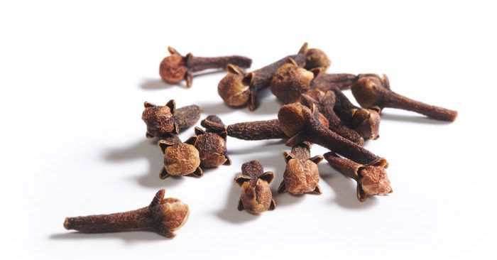 Cloves [KieselUndStein]