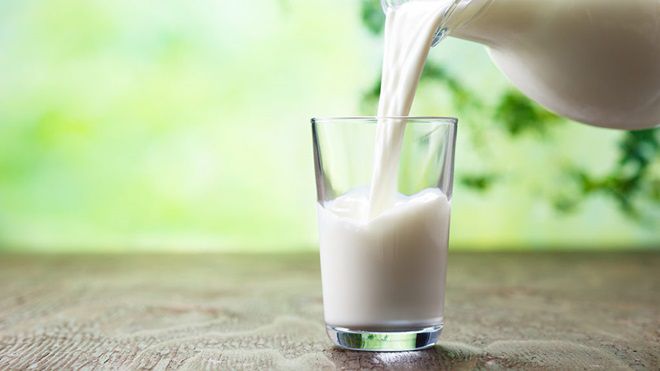 Goat milk or Cow milk: Which should you be drinking?