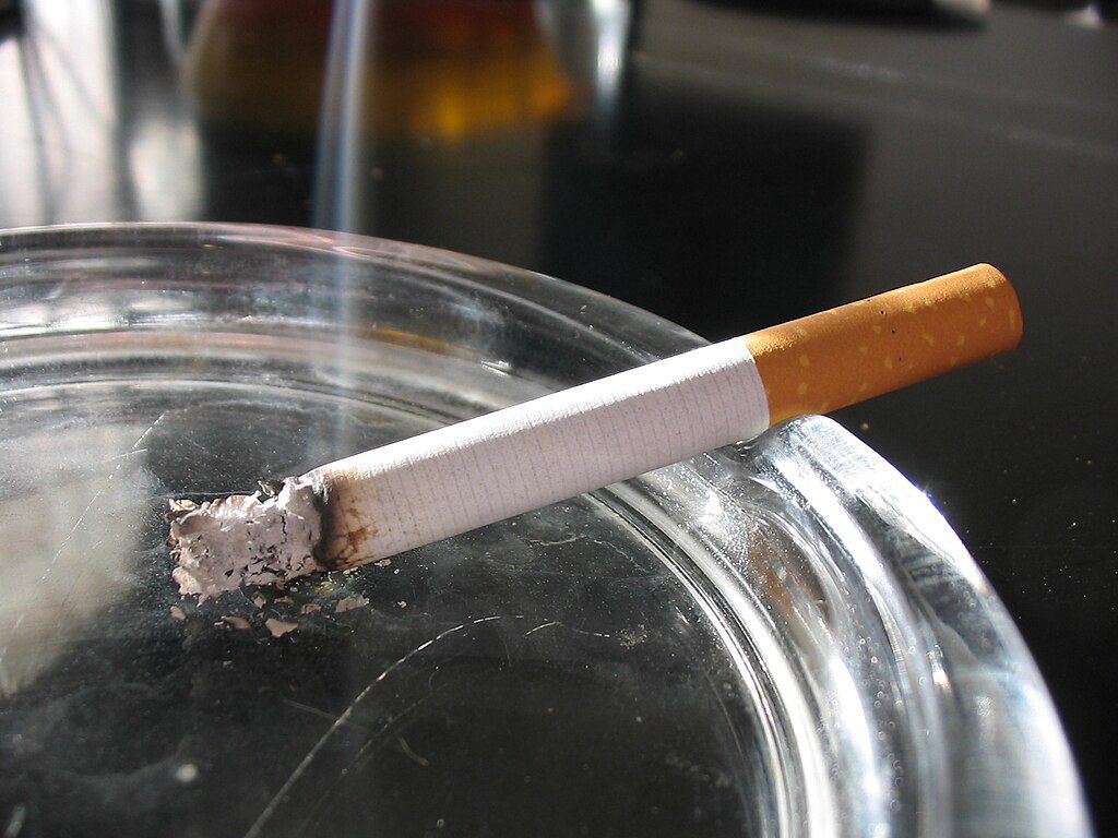 Chicha : les femmes dans la fumée des narguilés