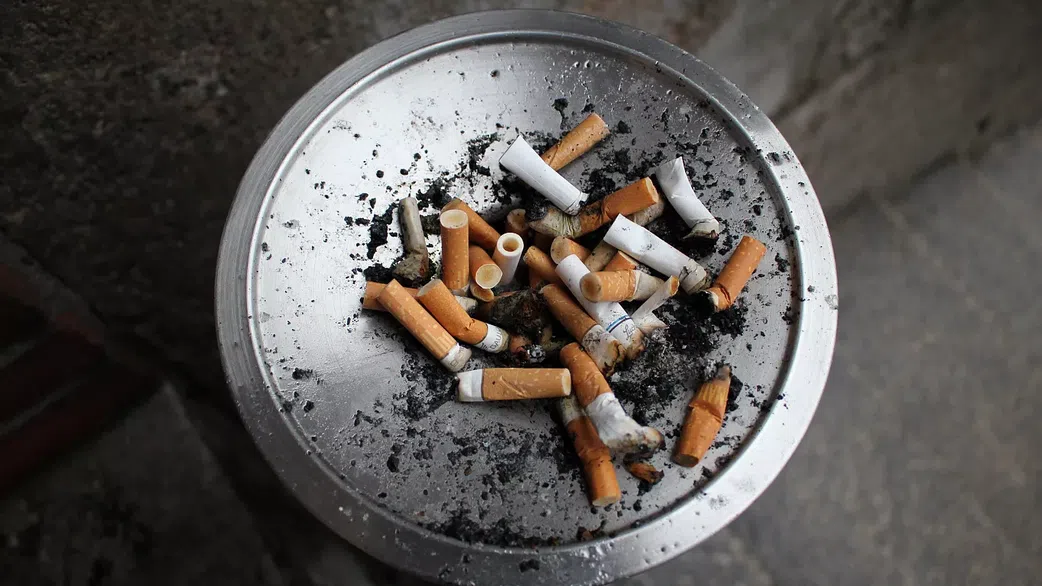 Chicha : les femmes dans la fumée des narguilés