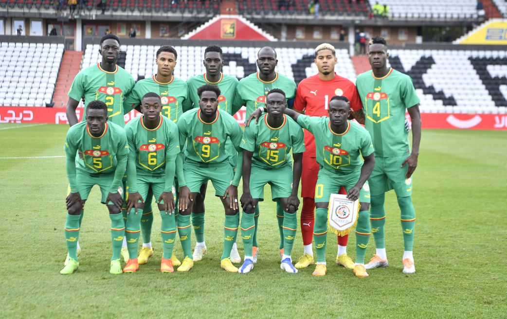 Matchs amicaux  : les Lions ont refusé d'embarquer
