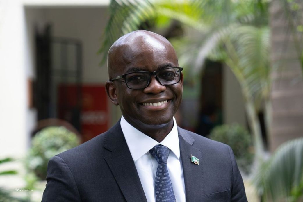 BAD : qui succèdera à Akinwumi Adesina ?