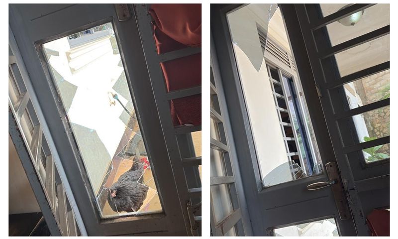 Pallaso's home was ransacked by a gang on Thursday