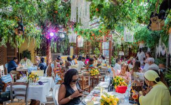 Limoncello Brunch