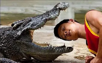 What are the most dangerous jobs in the world? [RVCJMedia]