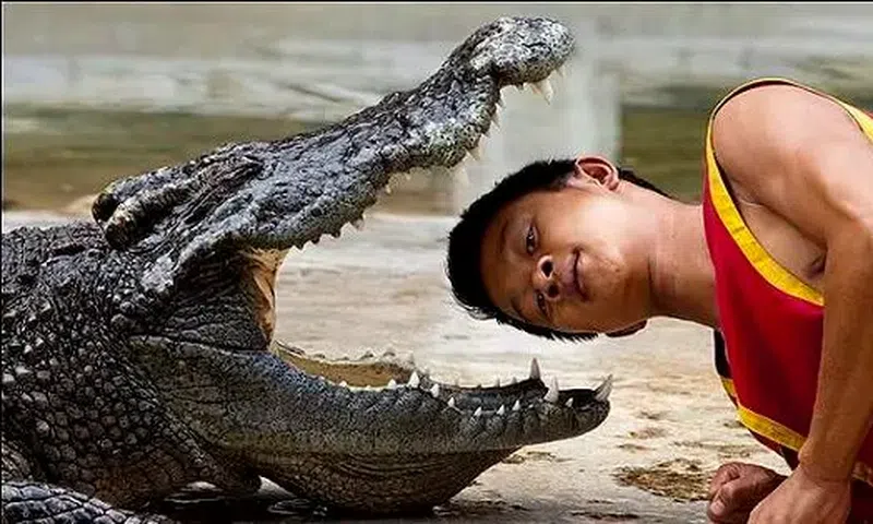 What are the most dangerous jobs in the world? [RVCJMedia]