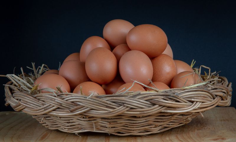 These are some reasons why you should never put eggs in the refrigerator