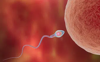 Unfortunately, male fertility is surrounded by myths that can create confusion and unnecessary stress.