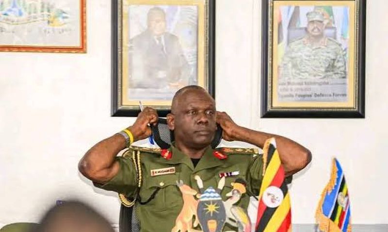 Freeman Mugabe, the former chairman of the General Court Martial, which was banned by the Supreme Court