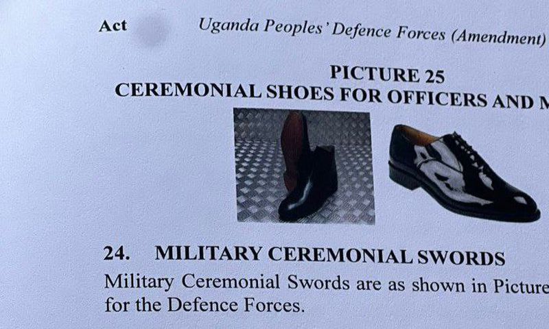 One of the most controversial sections of the law is how it affects civilians' dress, as the army has gazetted what were previously civilian clothes for themselves, leaving civilians frustrated