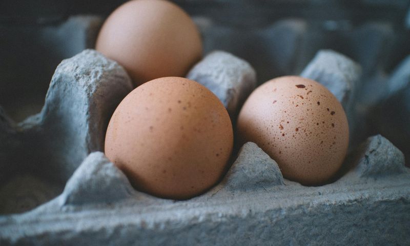 Eggs
