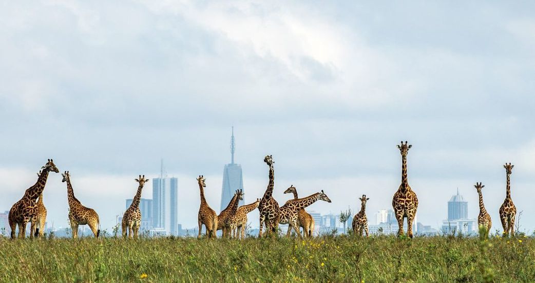8 popular tourists destinations in Kenya, why you should visit them