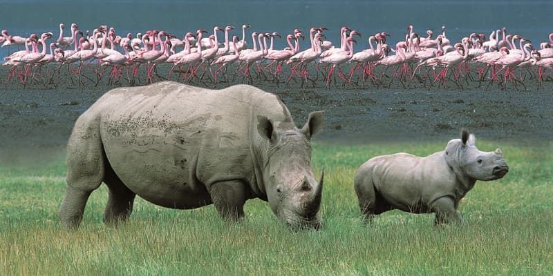 8 popular tourists destinations in Kenya, why you should visit them