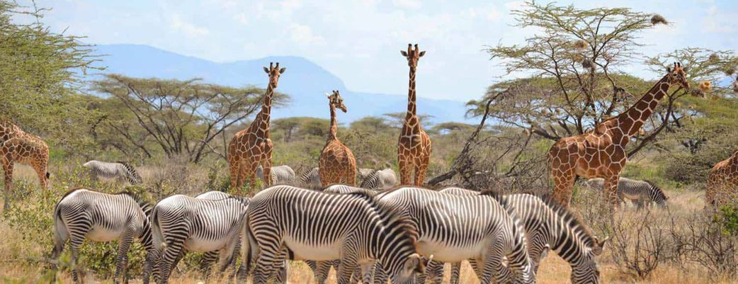 8 popular tourists destinations in Kenya, why you should visit them