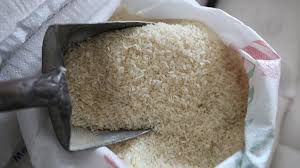 Rice