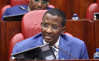 IPOA Chairperson Ahmed Issack Hassan before  the National Assembly Administration and Internal Security Committee