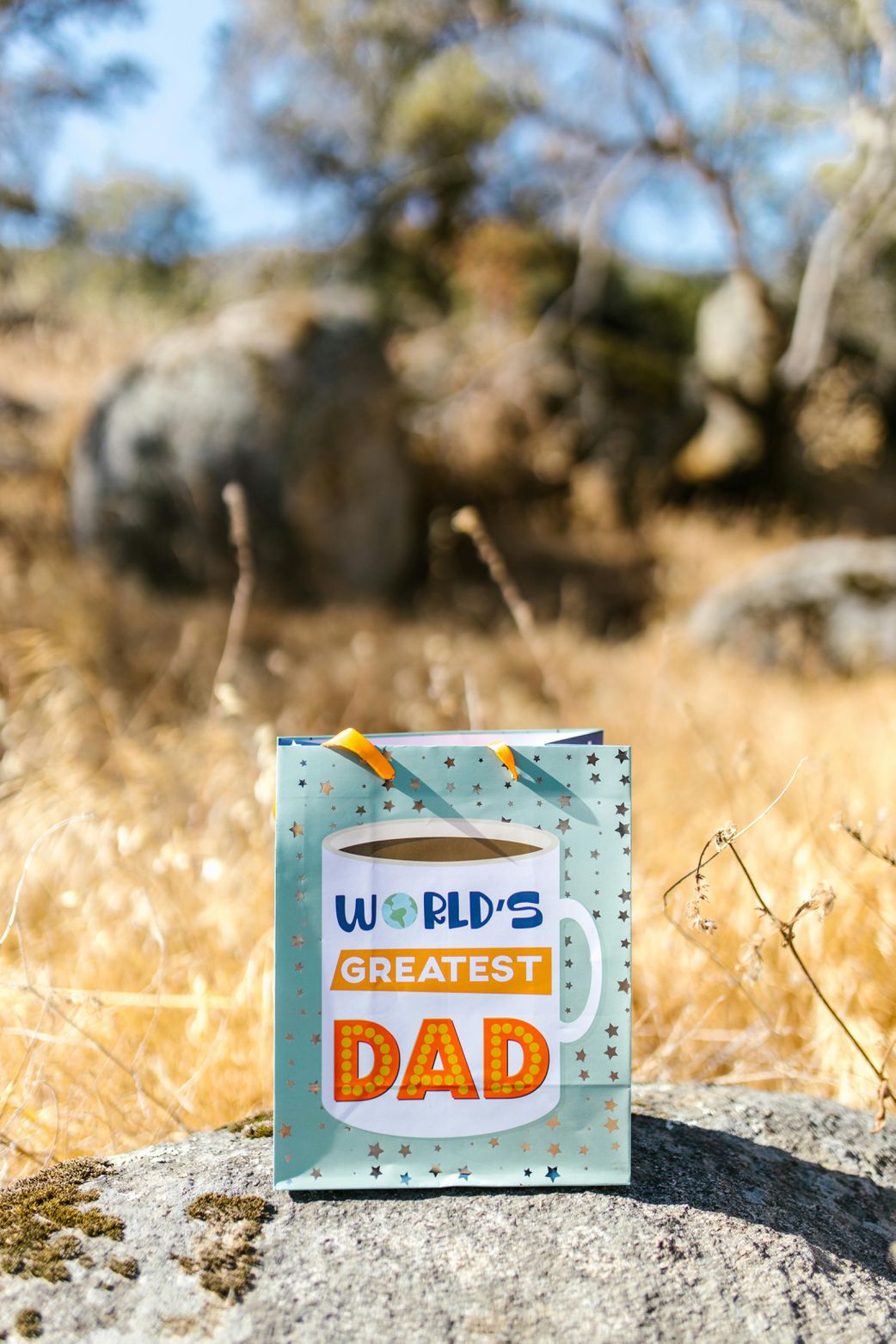 Gifts for Father's Day