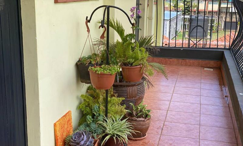 A balcony with plants