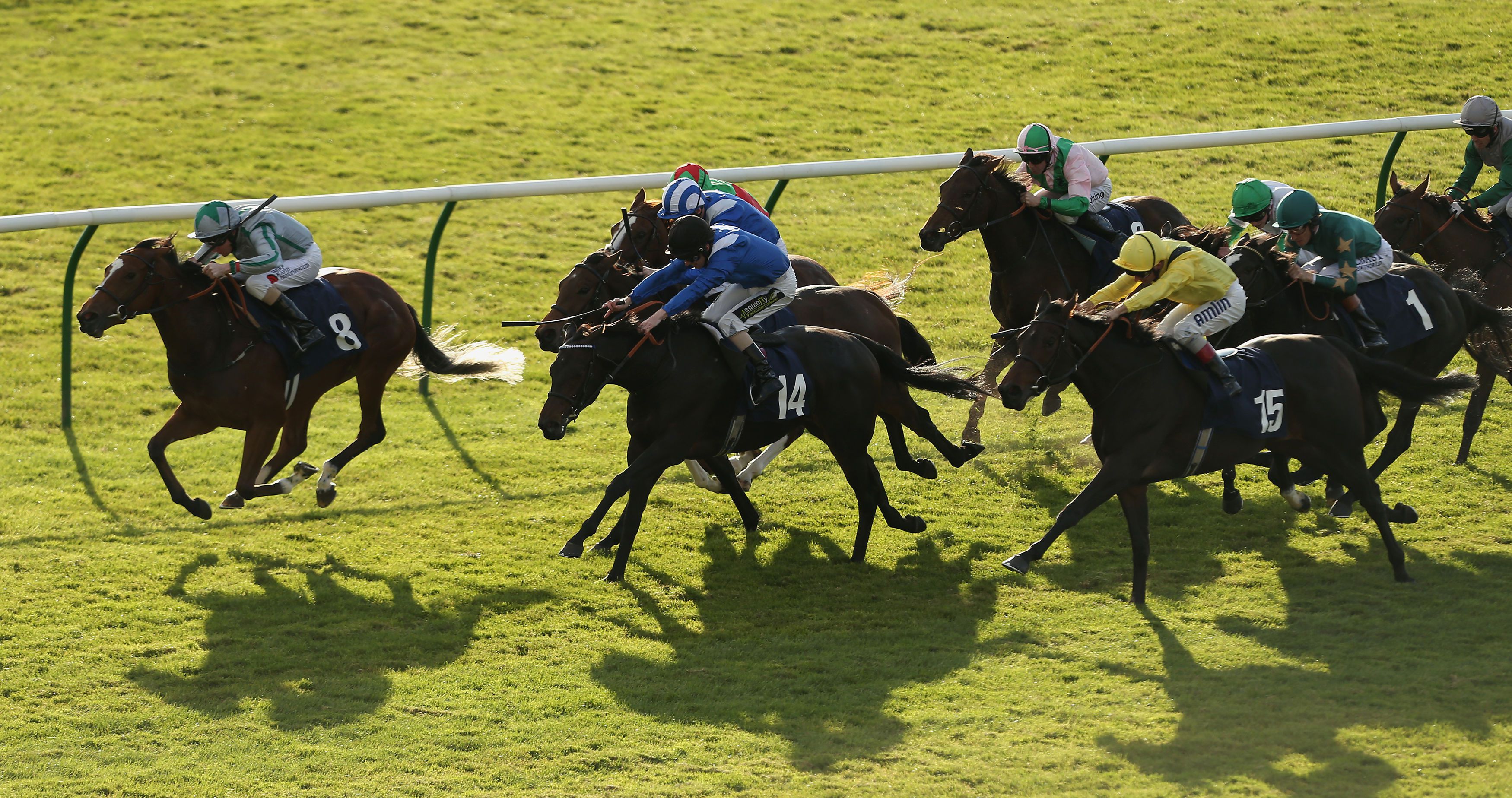 Ray Ward Can Reap Rewards In Cesarewitch Handicap