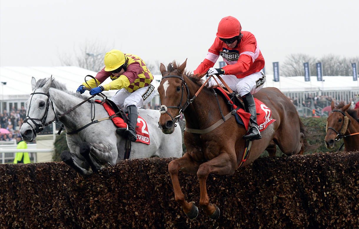 Boxing Day double on the cards for Paul Nicholls’ staying star