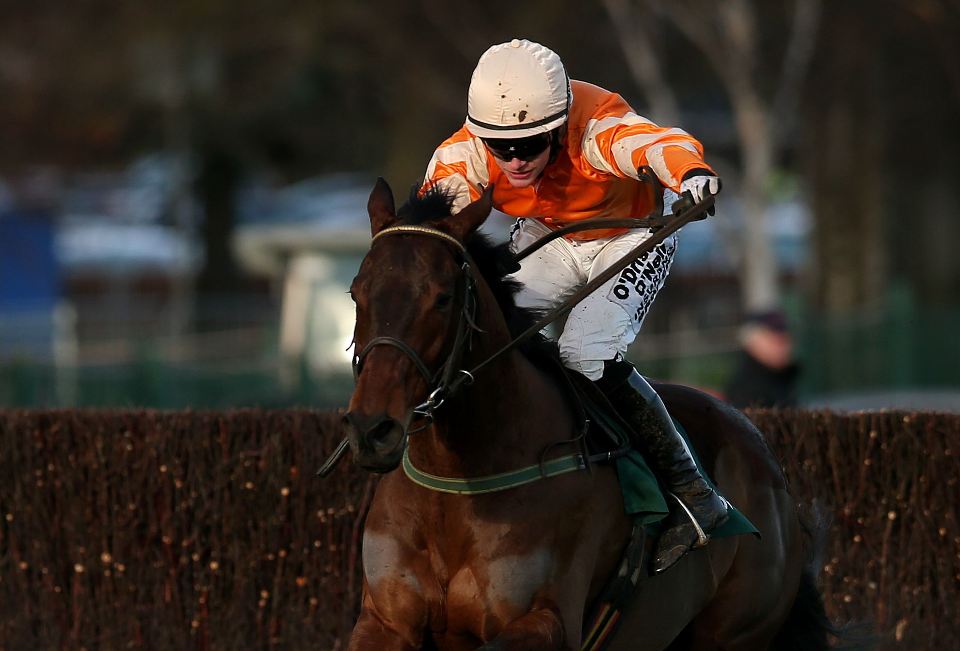 Twinlight and Special Tiara both 20/1 for Betway Champion Chase after festive wins