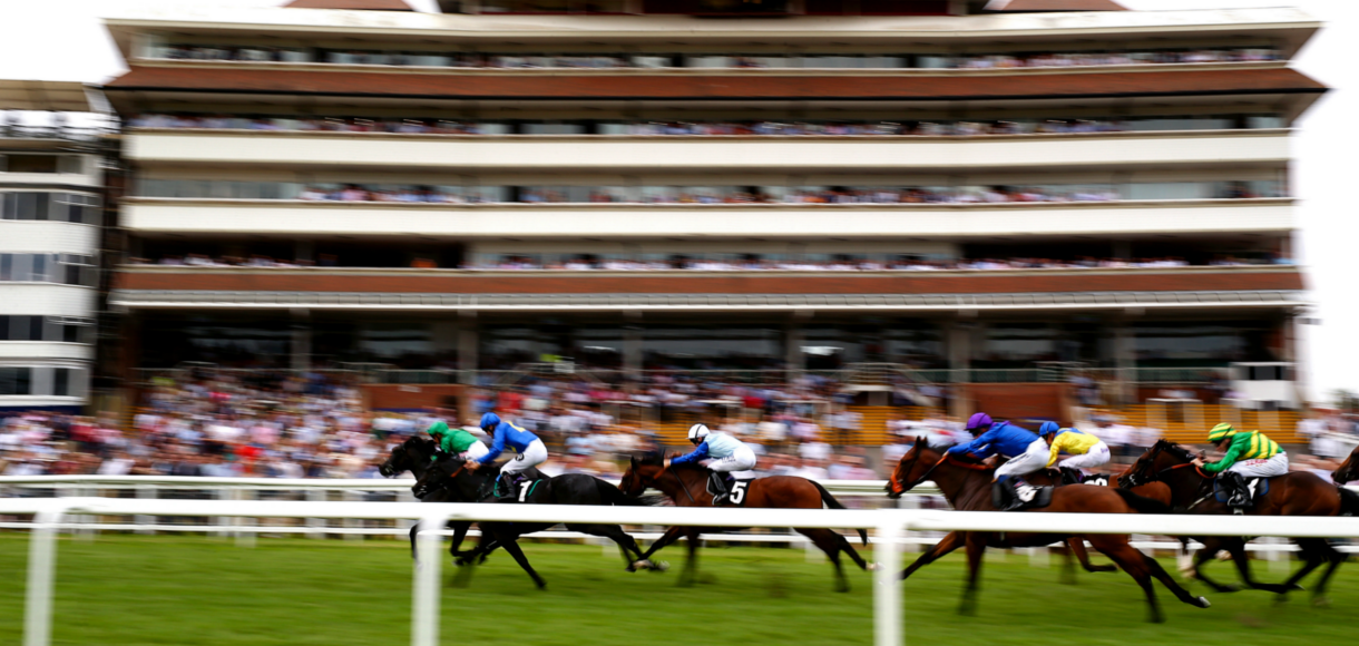 Horse racing betting: Tips for Newbury, Newmarket and Curragh