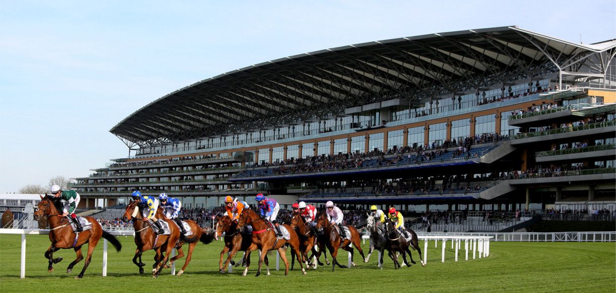 Saturday racing tips: Best bets from Ascot Champions Day