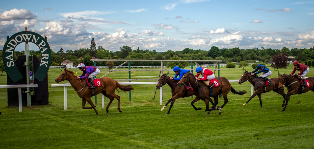 Horse racing betting tips: Haydock, Sandown, Punchestown