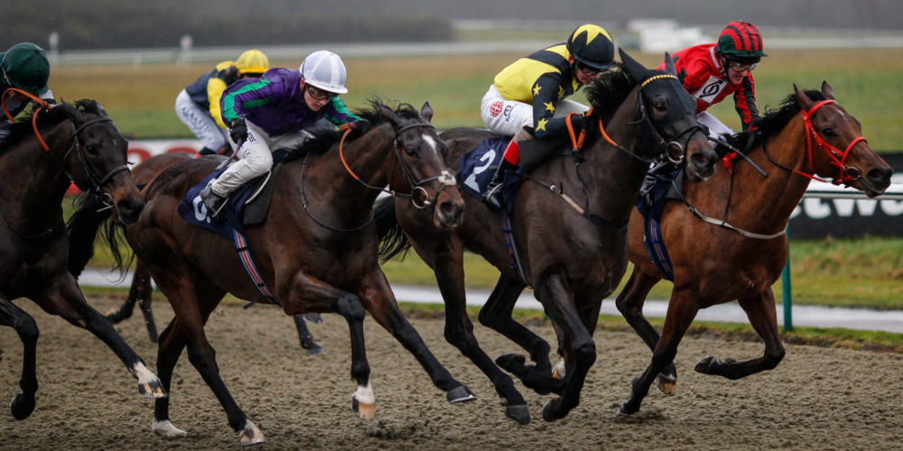 Horse Racing Betting: Tips for Newcastle and Lingfield