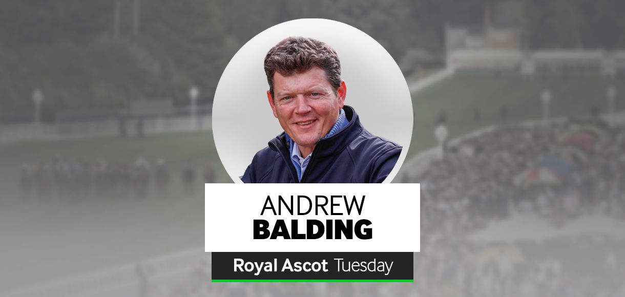 Andrew Balding Betway blog: Royal Ascot Tuesday runners
