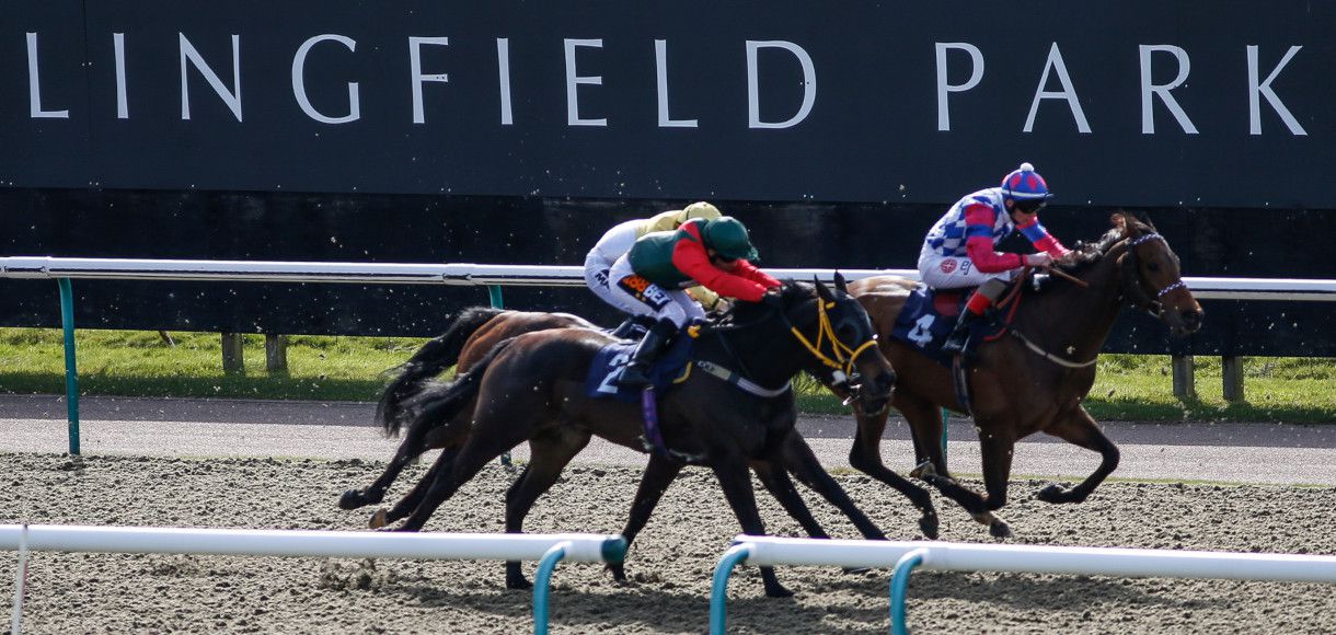 Wednesday horse racing tips for Lingfield Park 22 01 20